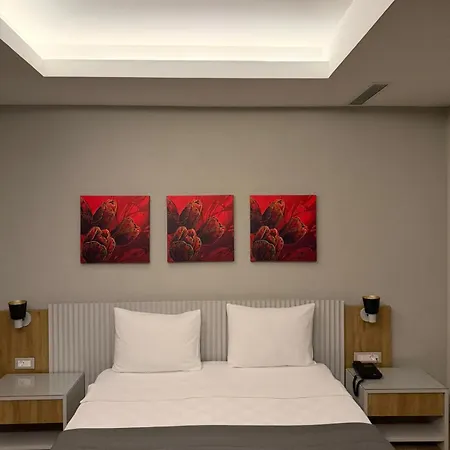 The Alaçatı Ariel Hotel *